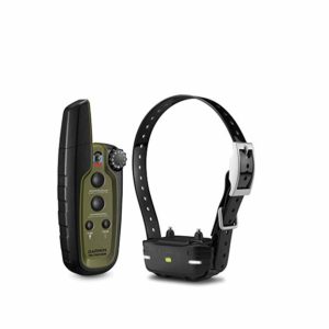 Garmin Sport Pro Collar